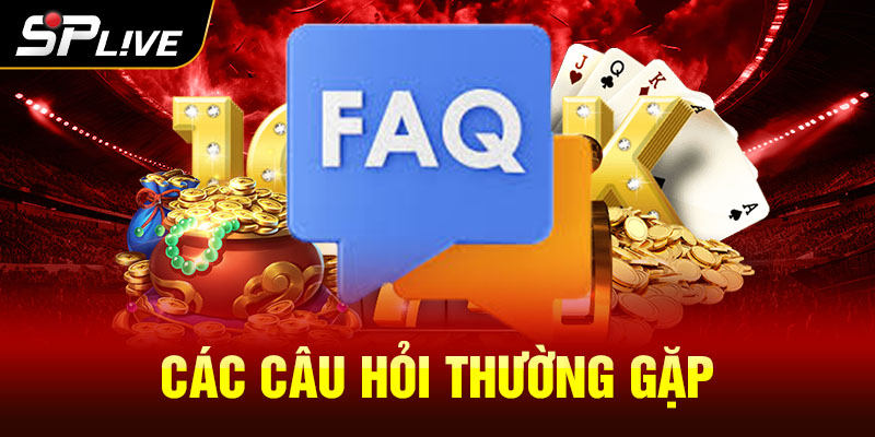 Các câu hỏi thường gặp