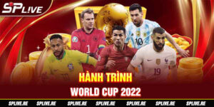 Hành trình World Cup 2022