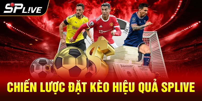 Chiến lược đặt kèo hiệu quả SPLIVE