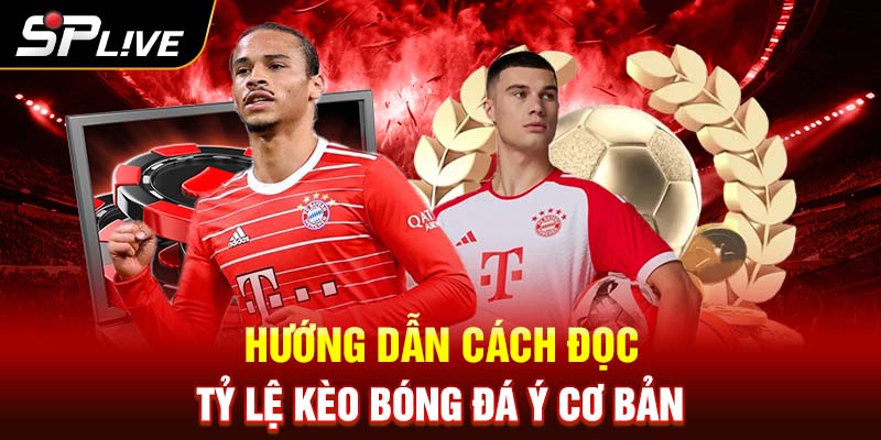 Hướng dẫn cách đọc tỷ lệ kèo bóng đá Ý cơ bản