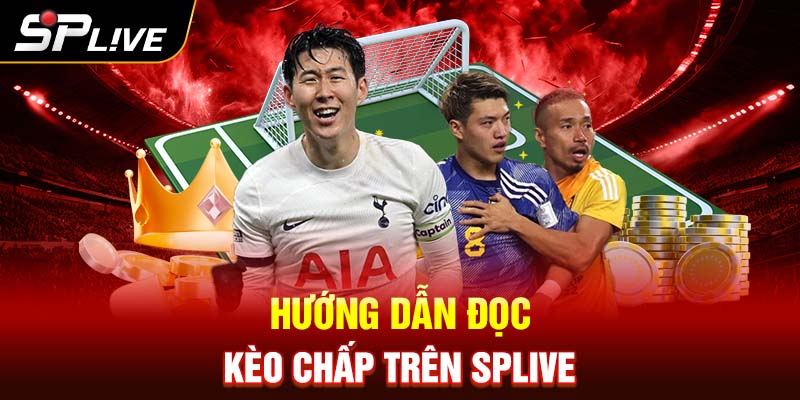 SPLIVE hướng dẫn đọc kèo chấp