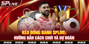 Kèo đồng banh SPLIVE - Hướng dẫn cách chơi và dự đoán