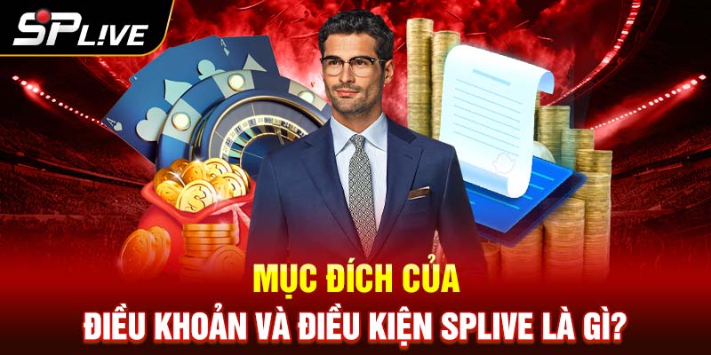 Mục đích của điều khoản và điều kiện SPLIVE là gì?