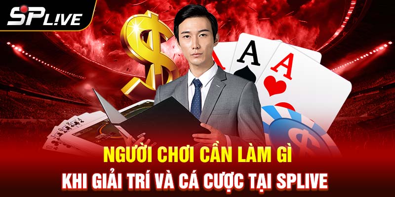 Người chơi cần làm gì để giải trí cá cược