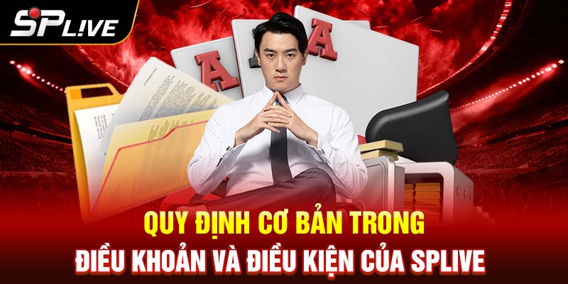 Quy định cơ bản trong điều khoản và điều kiện