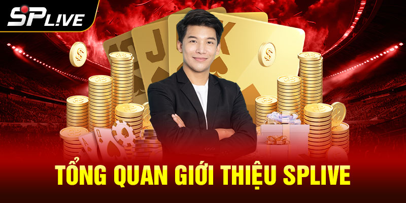 Tổng quan giới thiệu SPLIVE