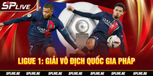 LIGUE 1 GIẢI VÔ ĐỊCH QUỐC GIA PHÁP - SÂN CHƠI CỦA NHỮNG NGÔI SAO