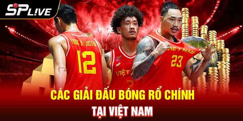 Các Giải Đấu Bóng Rổ Chính Tại Việt Nam