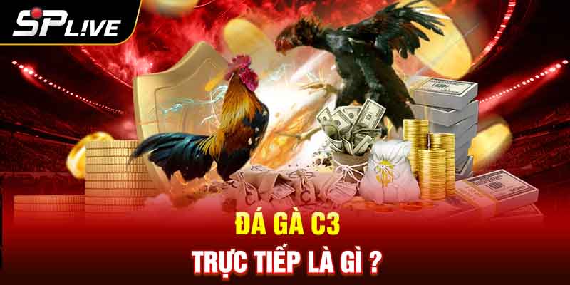 Đá gà C3 trực tiếp là gì ?