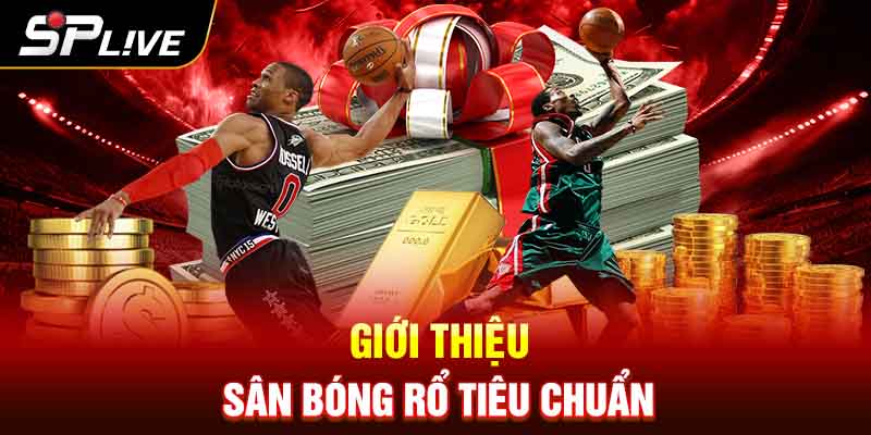 Giới Thiệu Sân Bóng Rổ Tiêu Chuẩn