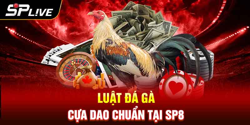 Luật đá gà cựa dao chuẩn tại SP8