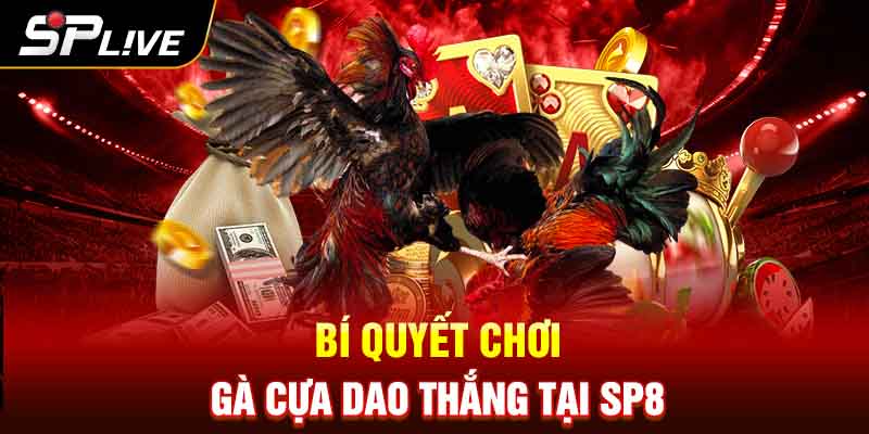 Bí quyết chơi gà cựa dao thắng tại SP8