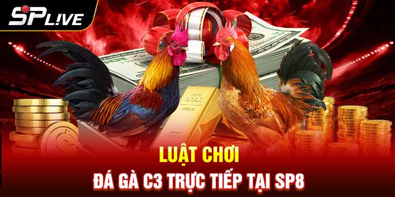 Luật chơi đá gà C3 trực tiếp tại SP8