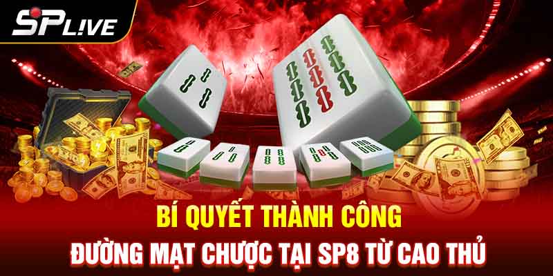 Bí quyết thành công Đường Mạt chược tại SP8 từ cao thủ