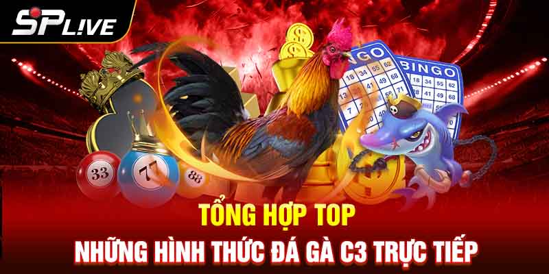 Top những hình thức đá gà C3 trực tiếp 