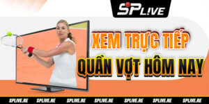 Xem Trực Tiếp Quần Vợt Hôm Nay