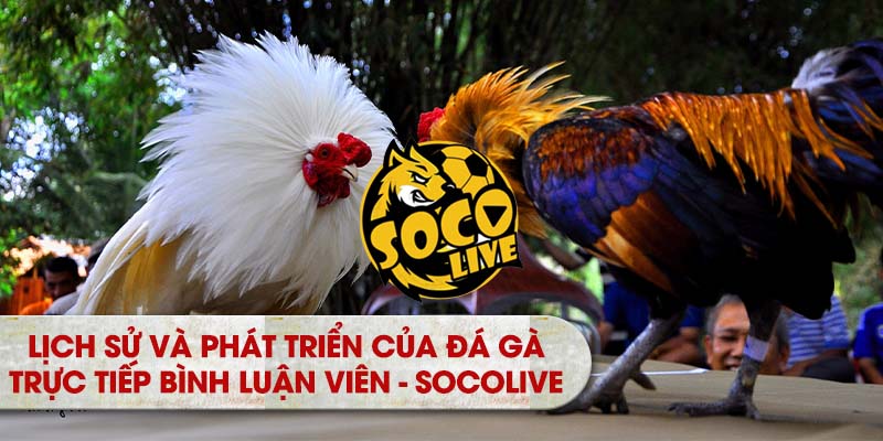 lịch sử và phát triển của Đá Gà Trực Tiếp Bình Luận Viên - Socoliv