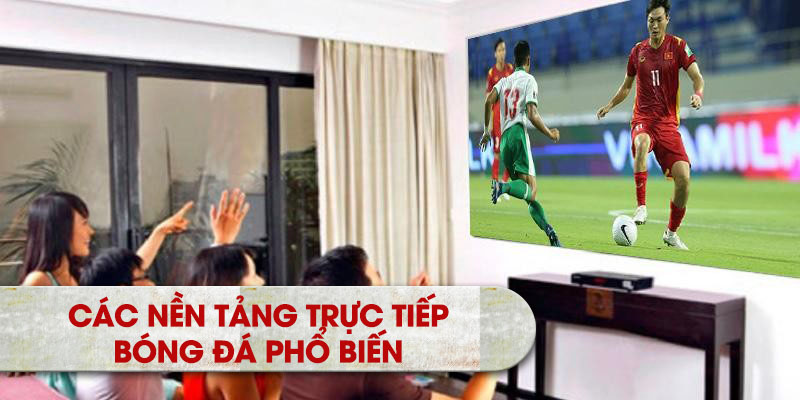 Các nền tảng trực tiếp bóng đá phổ biến