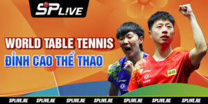 World Table Tennis: Đỉnh Cao Thể Thao