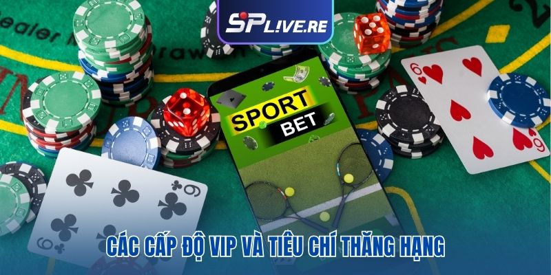 Các cấp độ VIP và tiêu chí thăng hạng