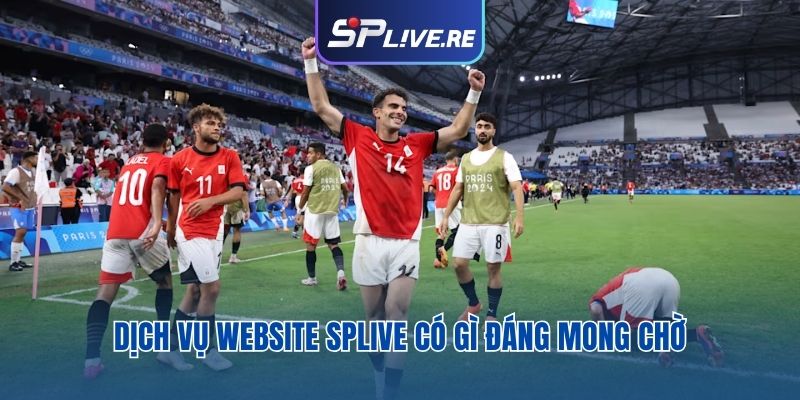 Dịch vụ được yêu thích nhất tại website SPLIVE đắt khách