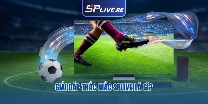 Giải đáp thắc mắc SPLIVE là gì?