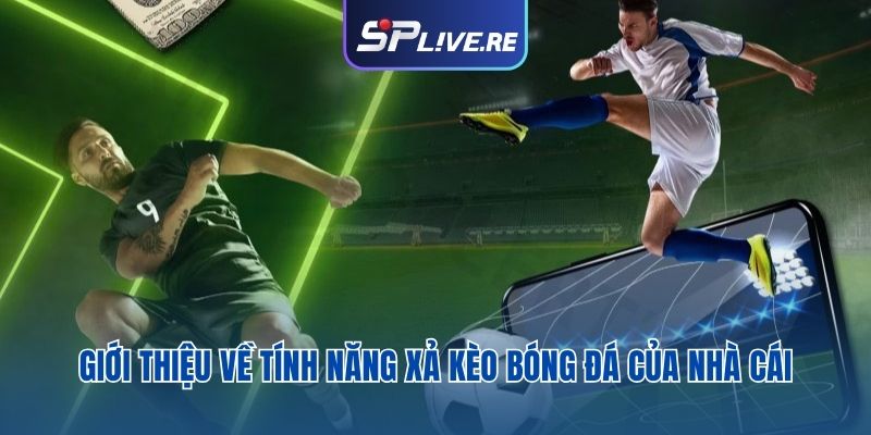 Giới thiệu về tính năng xả kèo bóng đá của nhà cái