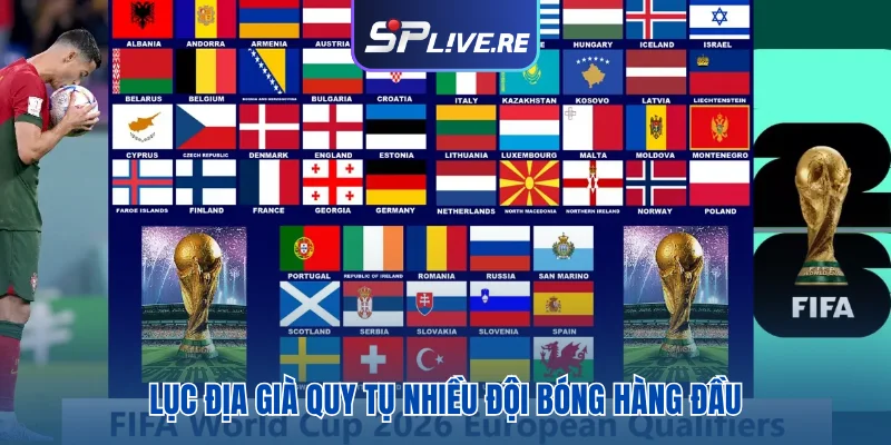 Lục địa già quy tụ nhiều đội bóng hàng đầu