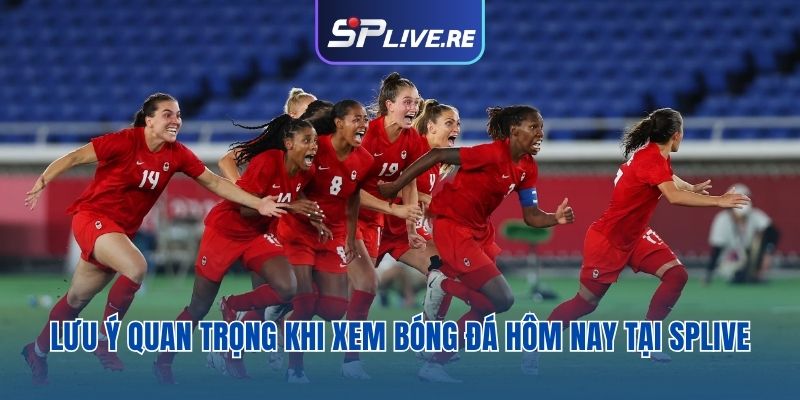 Những điều cần biết khi sử dụng dịch vụ website SPLIVE
