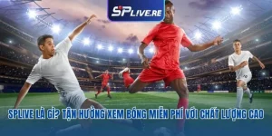 SPLIVE Là Gì?