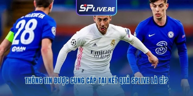 Thông tin được cung cấp tại kết quả SPLIVE là gì?