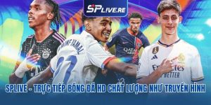 Trực tiếp bóng đá HD