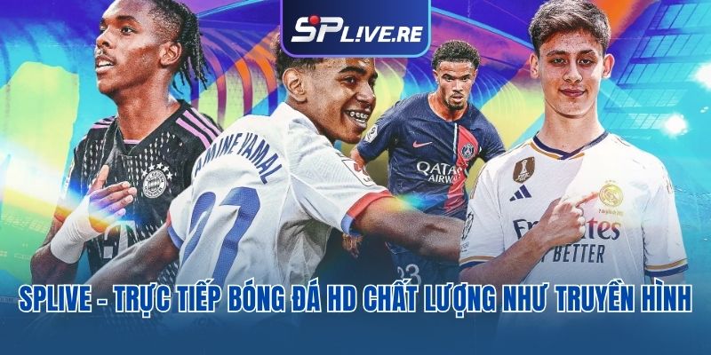 Trực tiếp bóng đá HD
