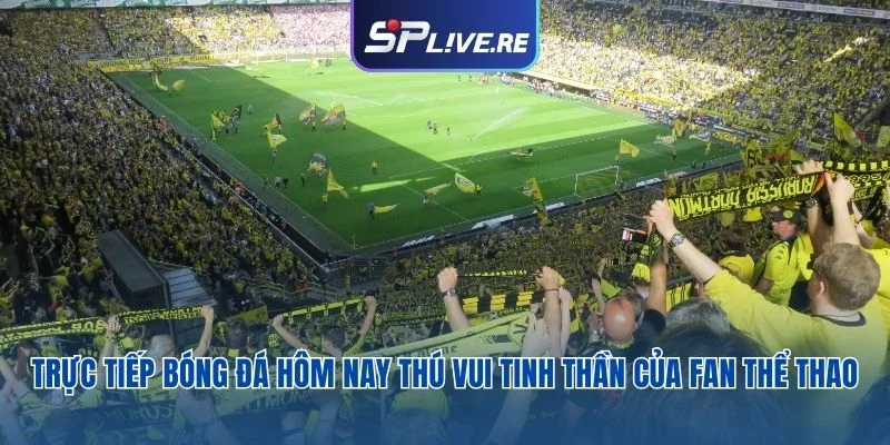trực tiếp bóng đá hôm nay
