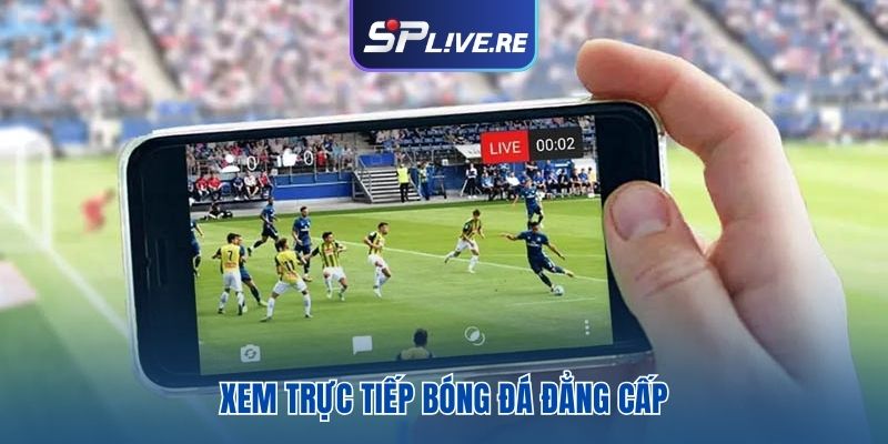 Xem trực tiếp bóng đá đẳng cấp